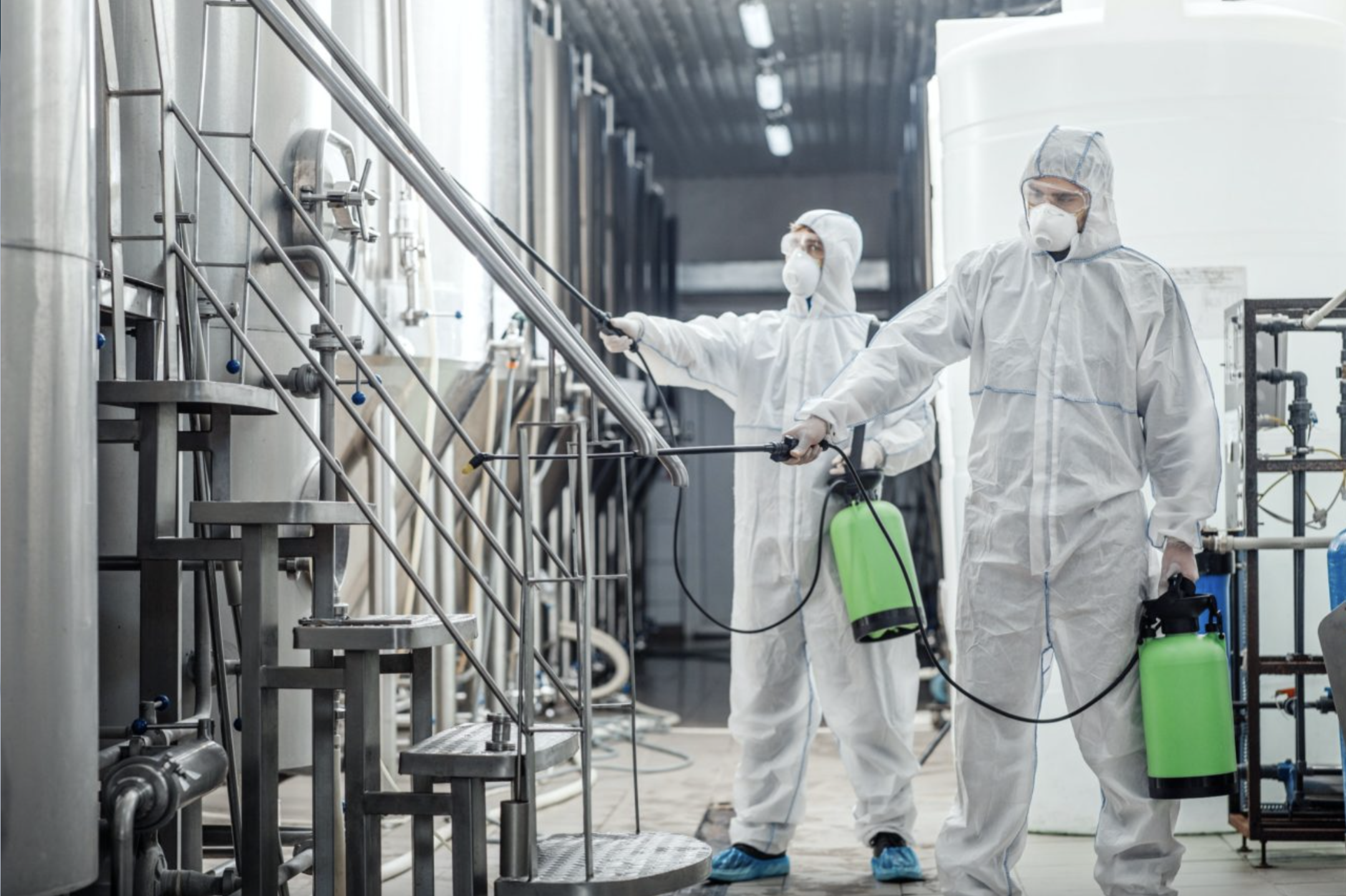 deratizasiya xidmeti