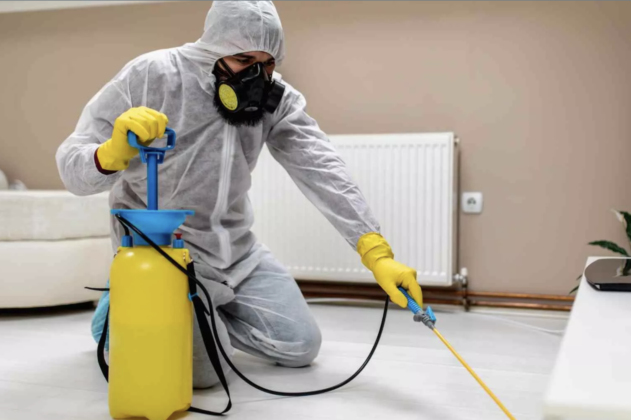 desinseksiya xidmeti